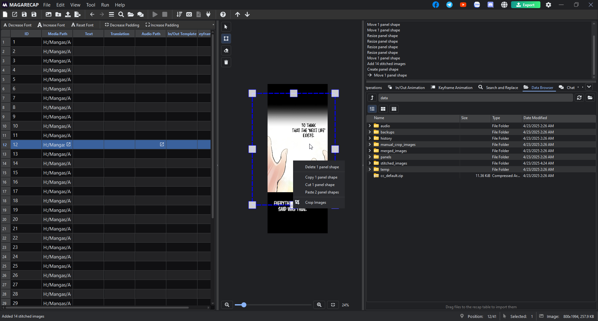 MagaRecap panel manipulation interface